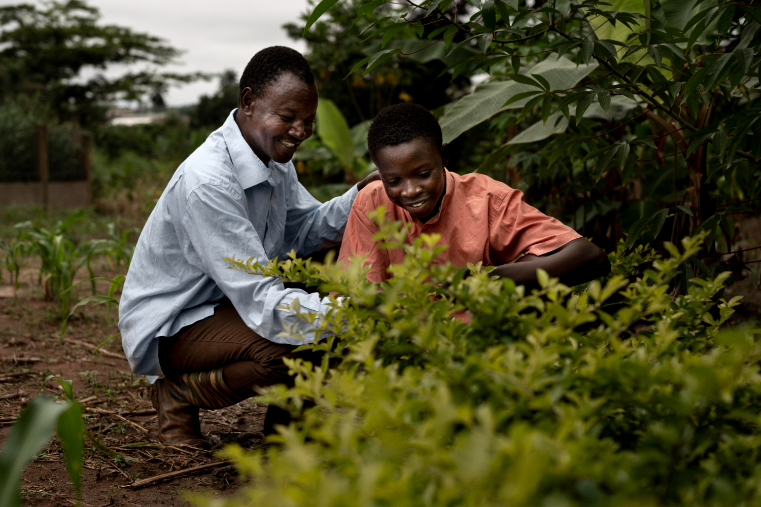 Strategic Agriculture Training